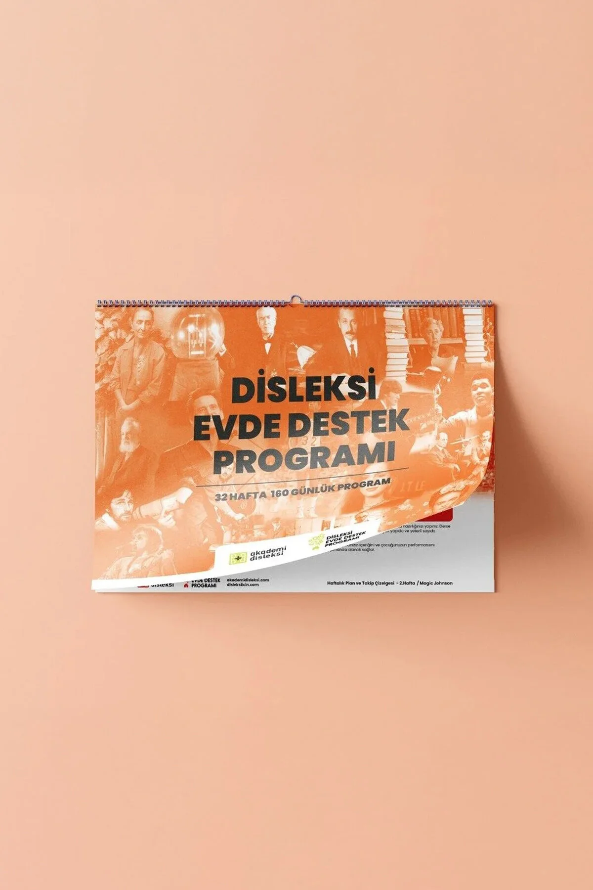 Disleksi Ebeveyn Evde Destek Programı